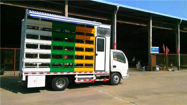 帶生活區(qū)藍(lán)牌養(yǎng)蜂車，兩邊固定意蜂箱40箱